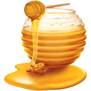 Honey PNG-86355